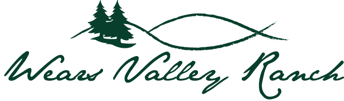 wvr logo green clear background.png